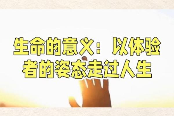 深度解析命理中的“建命”:人生的起点与选择 深度解析命理中的“建命”:人生的起点与选择