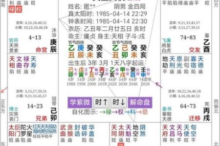 辛丑年命理解读：探究你的财富与人生方向