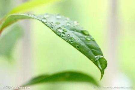 命卦坤的数字象征与生活智慧：找到内心的宁静与平衡