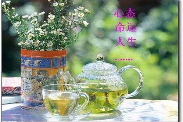 七九年冬月出生的人命运解析与人生参考 七九年冬月出生的人命运解析与人生参考