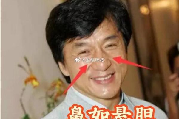 男人鼻子短的命运解析：从面相看性格与运势