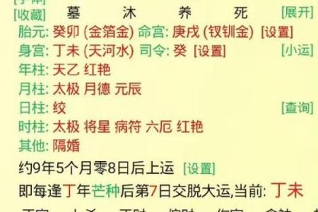 辰时出生的人命理解析：探寻辰时的星辰之谜与命运之路