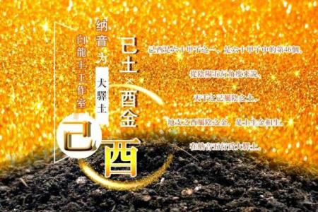 命属土的人适合的职业与发展之路探索