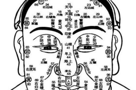 男人的眉形与财富运势：眉毛的秘密解析