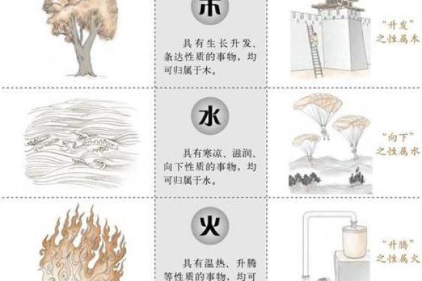 解密2017年出生宝宝命理：五行缺失与未来成长之道