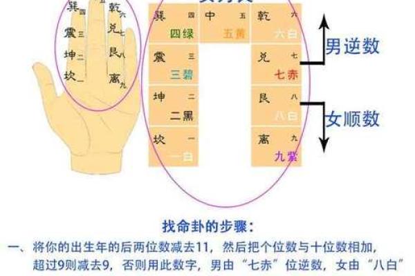 东四命西四命：揭示风水术的奥秘与智慧