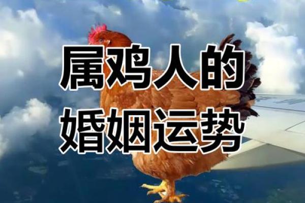 辰时出生的属鸡女孩命运解析与运势指南
