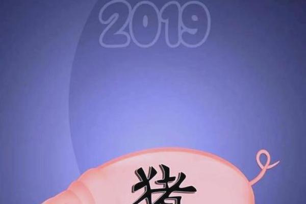 揭秘生肖属猪人的命运与生活智慧 揭秘生肖属猪人的命运与生活智慧