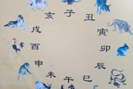 沙中土命者忌什么颜色？探寻五行之道与运势提升的秘密