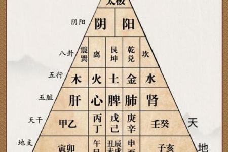 易经数字的深邃智慧与命运解析