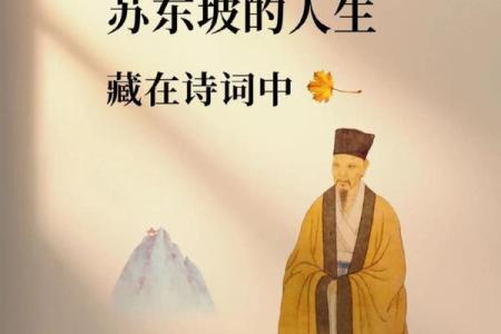 命运的波折：我如何在坎坷中寻找自我重生之路