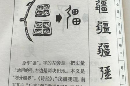 探寻“命”字的结构与部首的神秘之旅