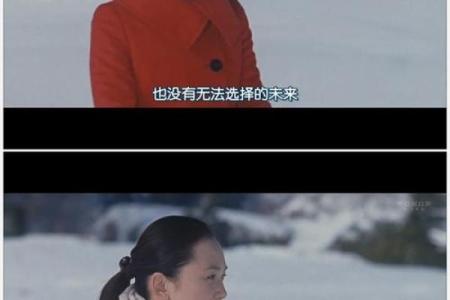 1931年：金属羊年，命运与选择的交错之旅