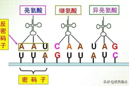 1932壬申年：揭示你的命运与人生轨迹的宇宙密码