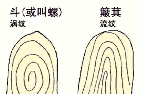 右手四斗人的命运揭秘:你知道自己有什么命吗? 右手四斗人的命运揭秘:你知道自己有什么命吗?