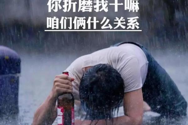 用你命换我命,我愿意的深刻情感探讨 用你命换我命,我愿意的深刻情感探讨