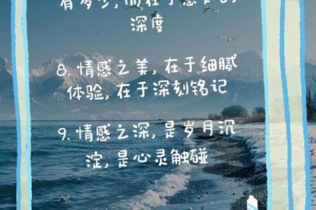 用你命换我命，我愿意的深刻情感探讨