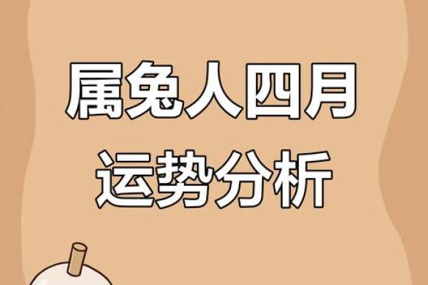 2024年生肖大揭秘:兔年命带来的好运与挑战 2024年生肖大揭秘:兔年命带来的好运与挑战