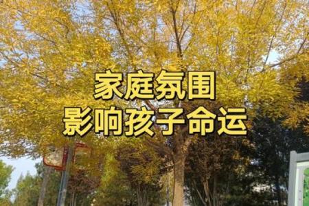 2030年出生宝宝的命运：星辰与命理的未来展望