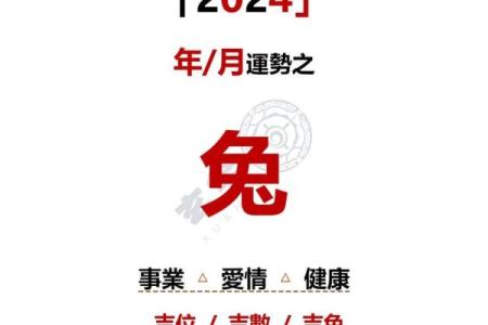 2024年生肖大揭秘：兔年命带来的好运与挑战