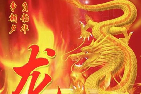 2000年生肖龙:金命的星辰之路 2000年生肖龙:金命的星辰之路