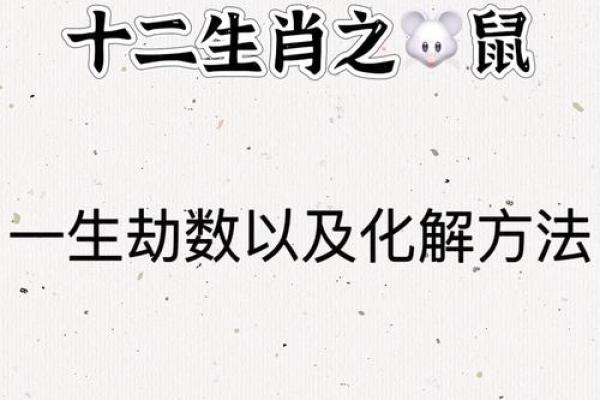 2020年属鼠人的命运揭秘：财运、事业与感情的全面解析