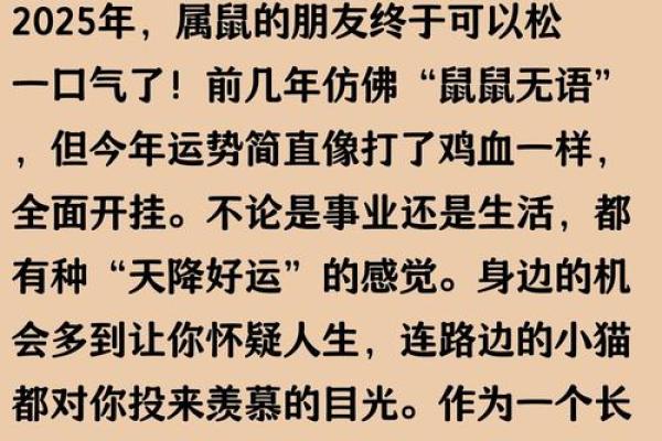 2020年属鼠人的命运揭秘：财运、事业与感情的全面解析