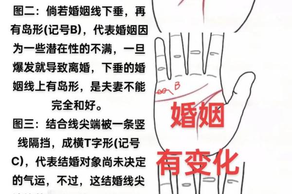 掌纹如鞭,命运波折:解密掌纹与人生轨迹 掌纹如鞭,命运波折:解密掌纹与人生轨迹