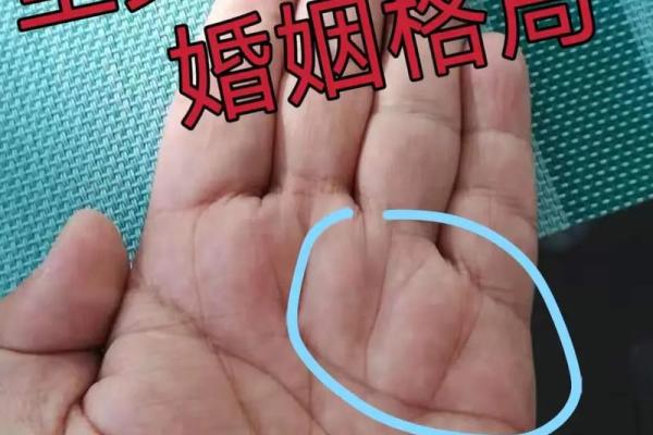 掌纹如鞭,命运波折:解密掌纹与人生轨迹 掌纹如鞭,命运波折:解密掌纹与人生轨迹