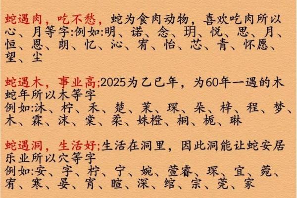 农历2013的命理解读：蛇年出生的人生智慧与性格特点