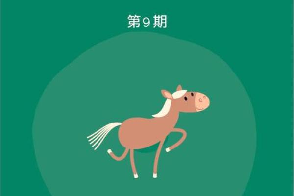 1942年生的马：属于什么命运与人生哲学的启示