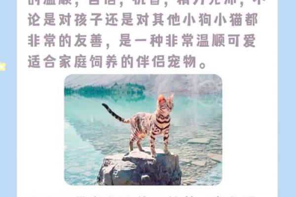 男孩出生9斤，命运与性格之间的秘密探讨！