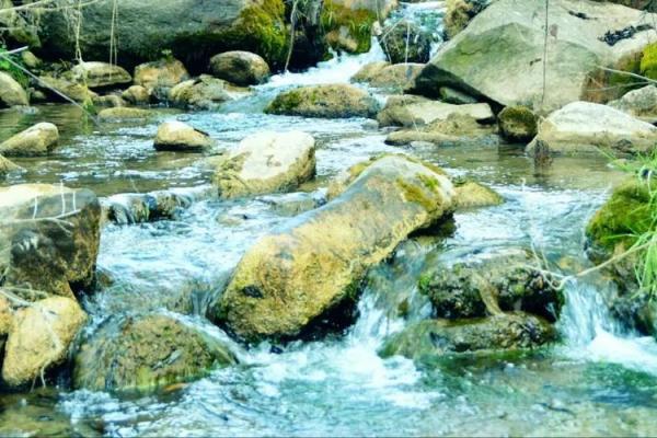 金水命之人适合从事的行业探秘:寻找心灵与事业的契合点 金水命之人适合从事的行业探秘:寻找心灵与事业的契合点