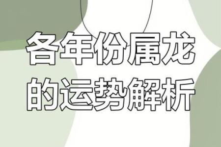 2000年属龙人的命运与职业发展分析