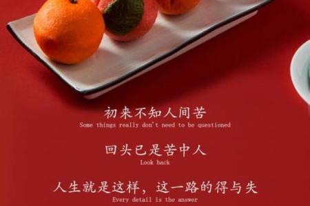 一身孤苦的命格：探寻命运背后的真相与哲理