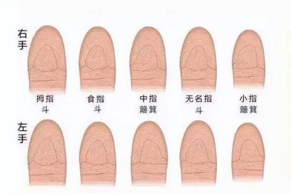 揭开簸箕命的神秘面纱 探索手相中的人生轨迹