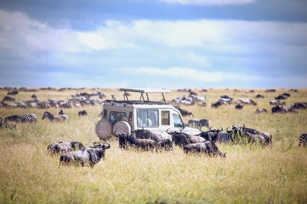 一命换一命:动物界的生死决斗与奇妙平衡 一命换一命:动物界的生死决斗与奇妙平衡