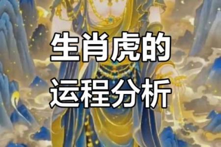 我命由我天：生肖背后的命运之谜与个人选择