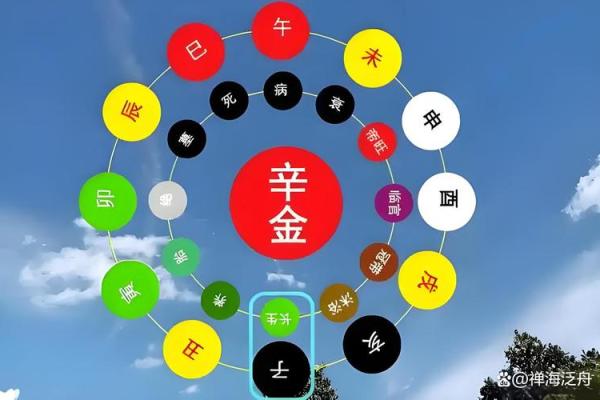 2004年猴年出生的人,命格解析与人生智慧 2004年猴年出生的人,命格解析与人生智慧