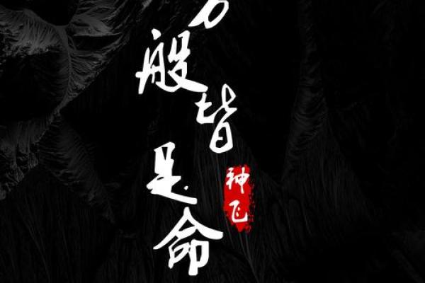 探究“都是命”的合体字寓意与生活哲学