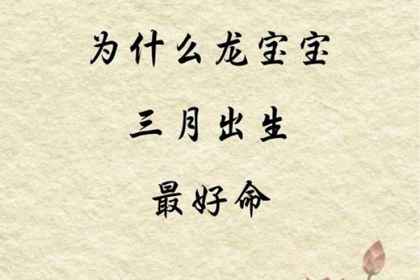 2024年木龙命运探秘：如何把握机遇与挑战，开启人生新的篇章