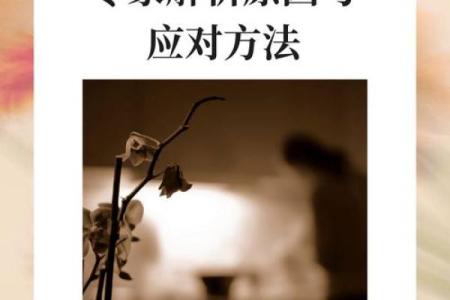 关于壮年大病命格的深入探讨与解析