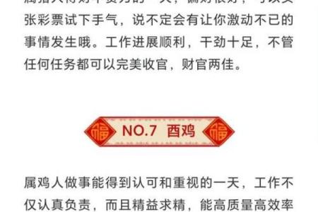 222岁属相命运探秘：揭示生活的奥秘与智慧