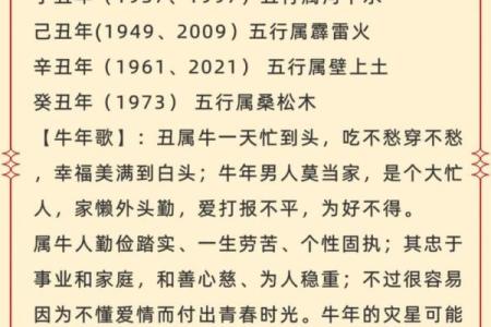1984年出生的人命运分析与生活建议：五行与性格的深度解读