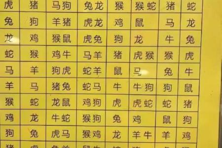 属猪人如何在鼠年迎来好运与幸福的生活