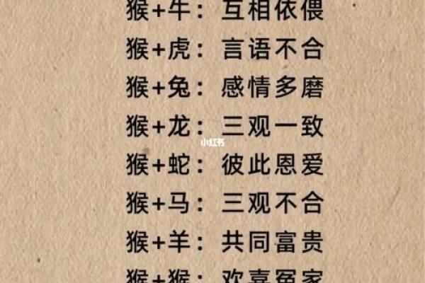 金命与属相搭配：最佳盟友的探讨与解析