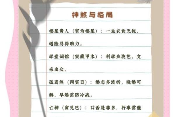 己亥年壬寅命：探寻命理中的禁忌与调和之道