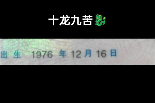 64年农历有哪些命理特征？探索属龙的命运之旅！