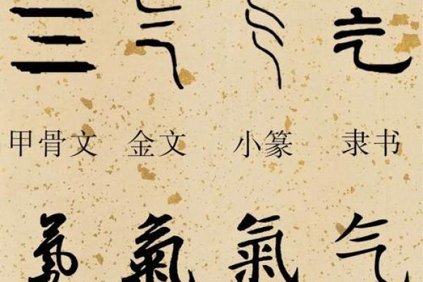 探秘汉字之美:从部首看汉字的组合与结构 探秘汉字之美:从部首看汉字的组合与结构