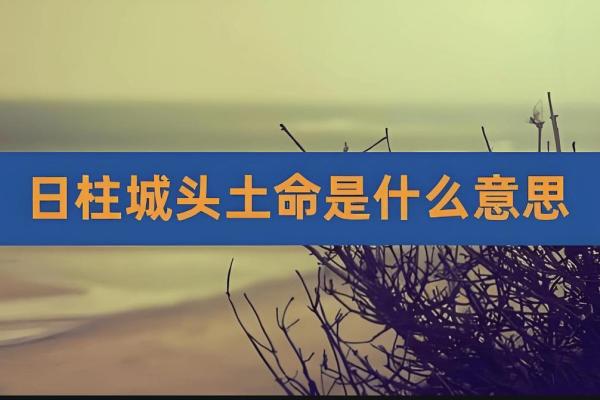 城墙土命与职业选择:探索适合土命人的行业发展之路 城墙土命与职业选择:探索适合土命人的行业发展之路